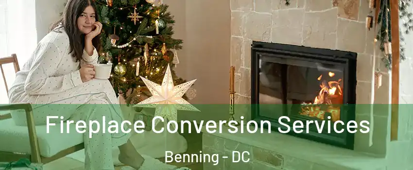 Fireplace Conversion Services Benning - DC