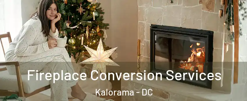 Fireplace Conversion Services Kalorama - DC