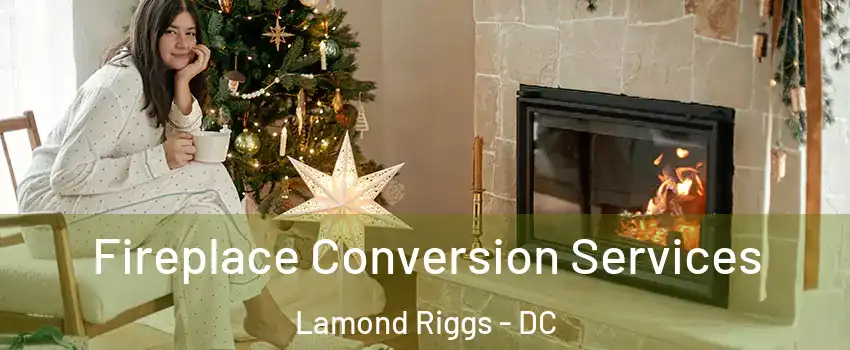 Fireplace Conversion Services Lamond Riggs - DC