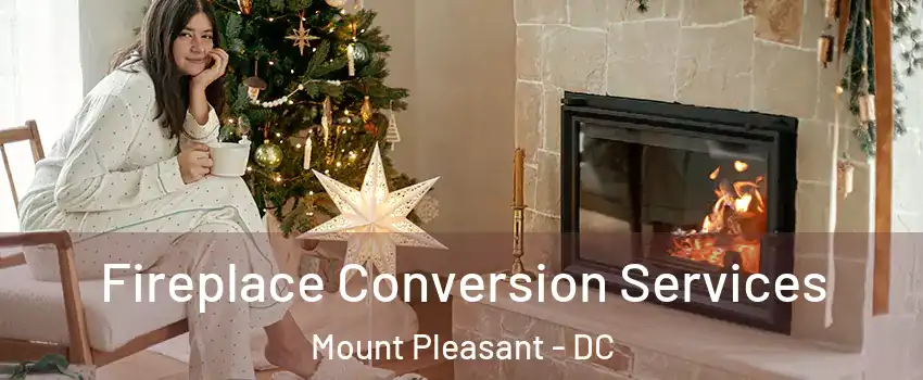 Fireplace Conversion Services Mount Pleasant - DC