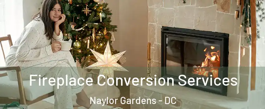 Fireplace Conversion Services Naylor Gardens - DC