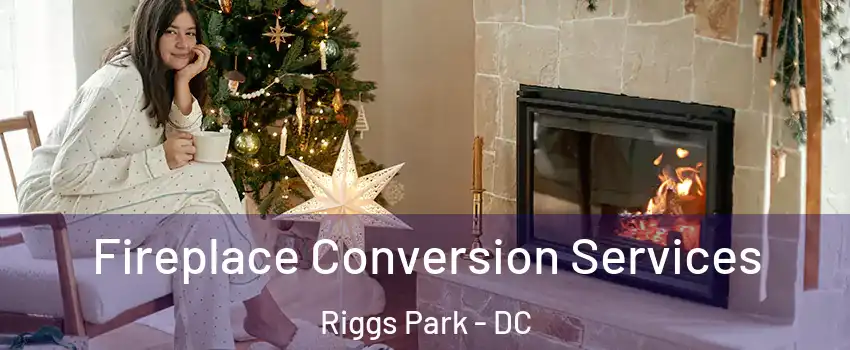 Fireplace Conversion Services Riggs Park - DC