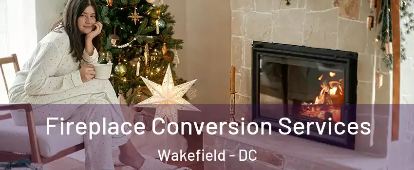 Fireplace Conversion Services Wakefield - DC