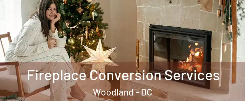 Fireplace Conversion Services Woodland - DC