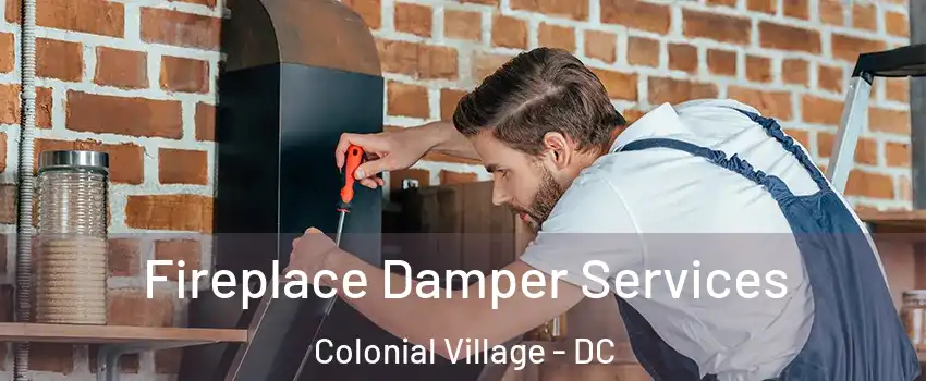 Fireplace Damper Services Colonial Village - DC