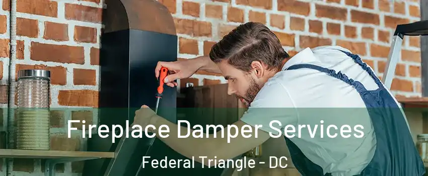 Fireplace Damper Services Federal Triangle - DC