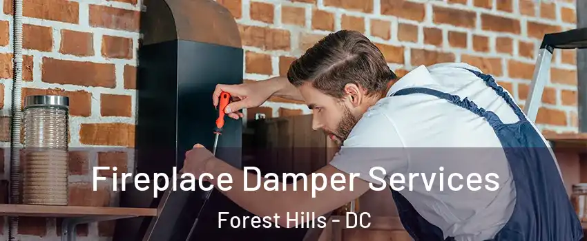 Fireplace Damper Services Forest Hills - DC