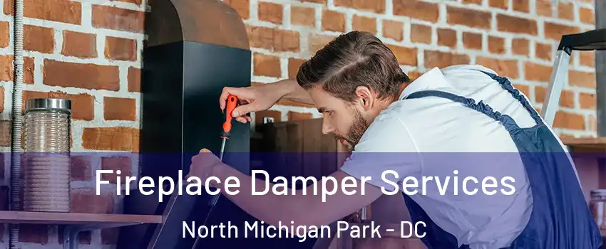 Fireplace Damper Services North Michigan Park - DC