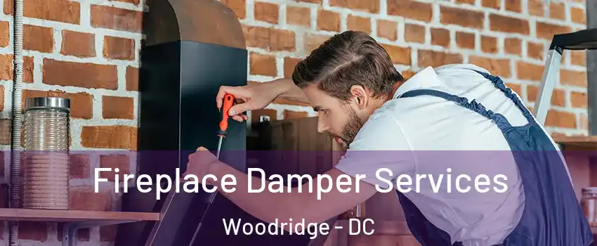 Fireplace Damper Services Woodridge - DC