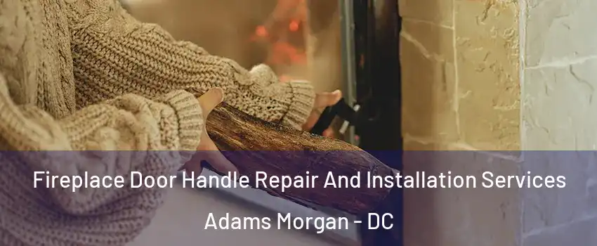 Fireplace Door Handle Repair And Installation Services Adams Morgan - DC