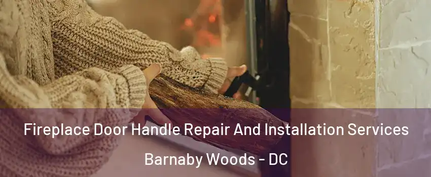 Fireplace Door Handle Repair And Installation Services Barnaby Woods - DC