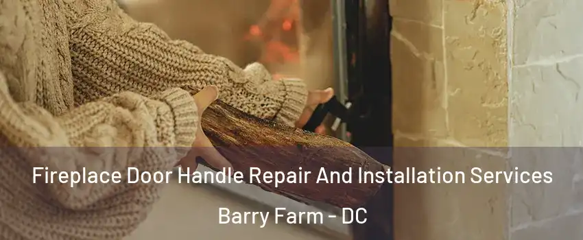 Fireplace Door Handle Repair And Installation Services Barry Farm - DC