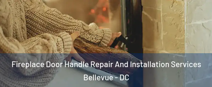 Fireplace Door Handle Repair And Installation Services Bellevue - DC