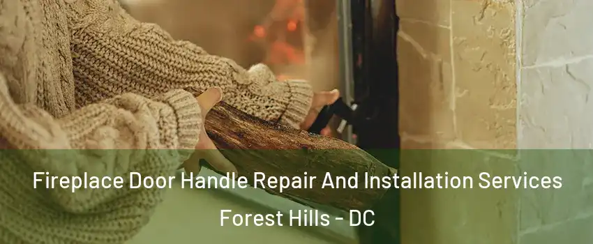 Fireplace Door Handle Repair And Installation Services Forest Hills - DC