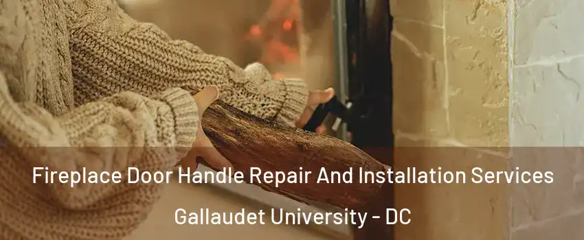 Fireplace Door Handle Repair And Installation Services Gallaudet University - DC