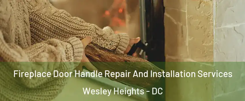 Fireplace Door Handle Repair And Installation Services Wesley Heights - DC