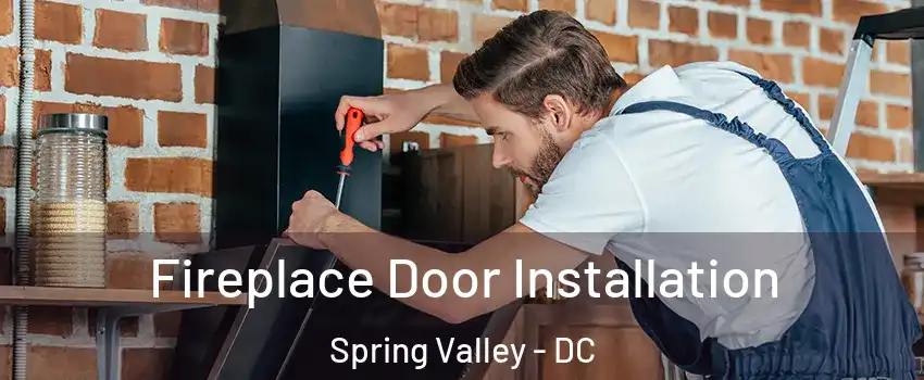 Fireplace Door Installation Spring Valley - DC