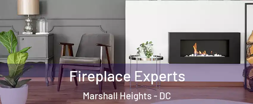 Fireplace Experts Marshall Heights - DC