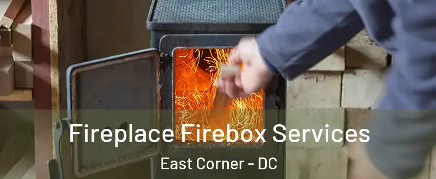 Fireplace Firebox Services East Corner - DC