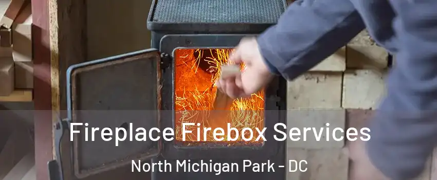 Fireplace Firebox Services North Michigan Park - DC