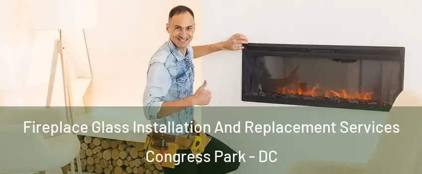 Fireplace Glass Installation And Replacement Services Congress Park - DC