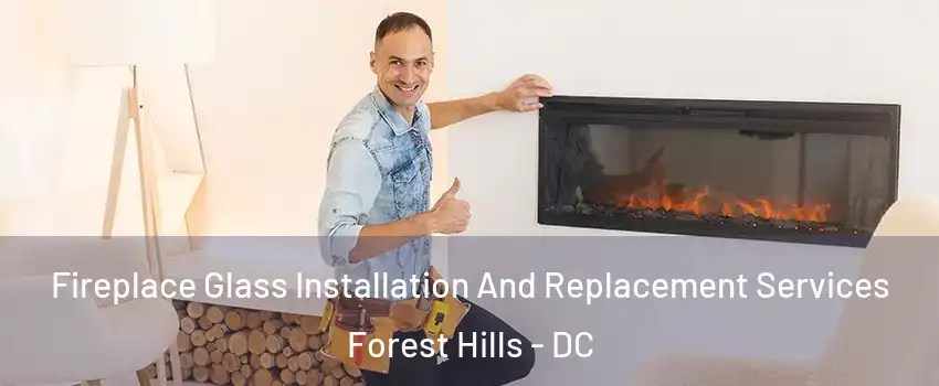 Fireplace Glass Installation And Replacement Services Forest Hills - DC