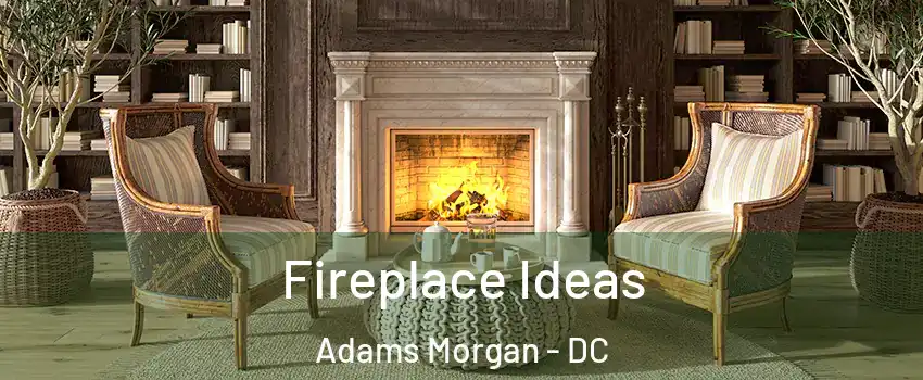 Fireplace Ideas Adams Morgan - DC