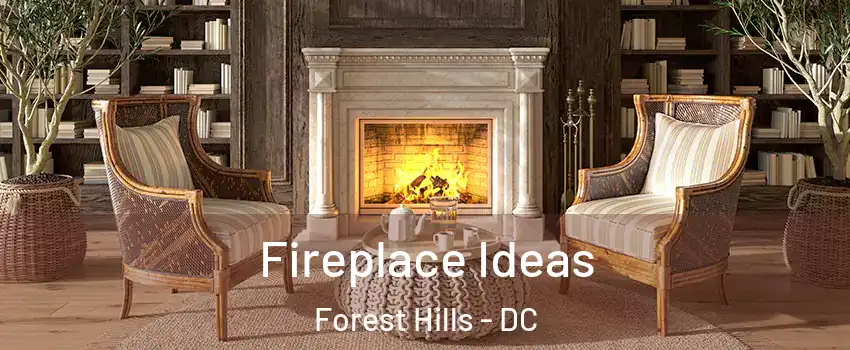 Fireplace Ideas Forest Hills - DC