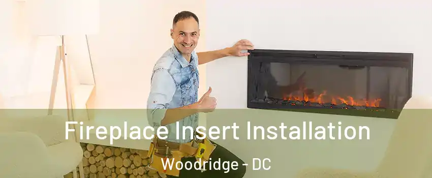 Fireplace Insert Installation Woodridge - DC