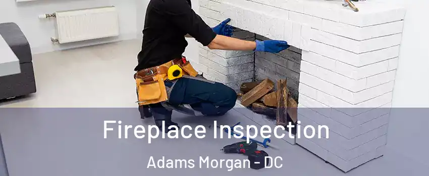 Fireplace Inspection Adams Morgan - DC