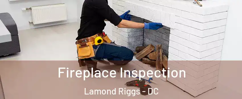 Fireplace Inspection Lamond Riggs - DC