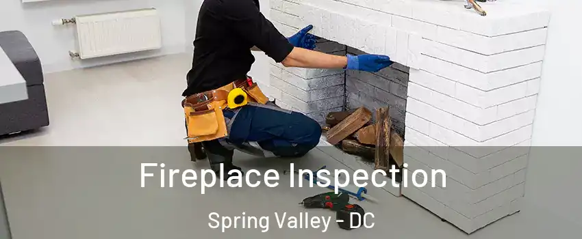 Fireplace Inspection Spring Valley - DC