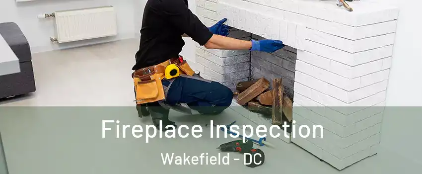 Fireplace Inspection Wakefield - DC