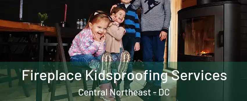 Fireplace Kidsproofing Services Central Northeast - DC