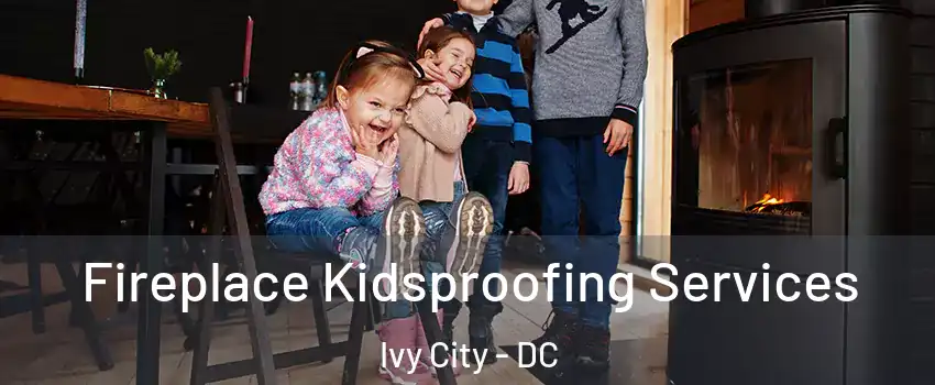 Fireplace Kidsproofing Services Ivy City - DC