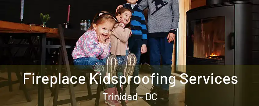 Fireplace Kidsproofing Services Trinidad - DC