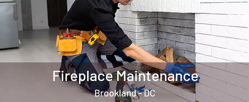 Fireplace Maintenance Brookland - DC