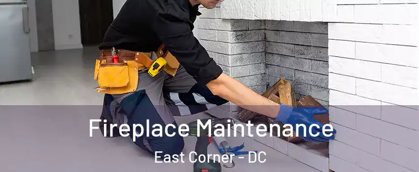 Fireplace Maintenance East Corner - DC