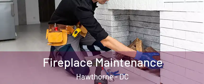 Fireplace Maintenance Hawthorne - DC