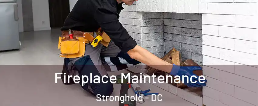 Fireplace Maintenance Stronghold - DC