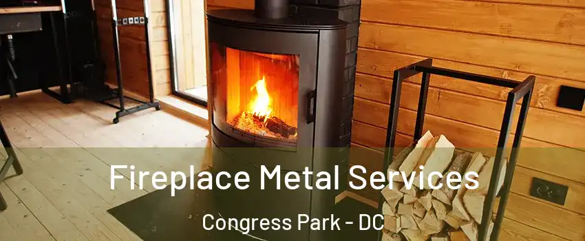 Fireplace Metal Services Congress Park - DC