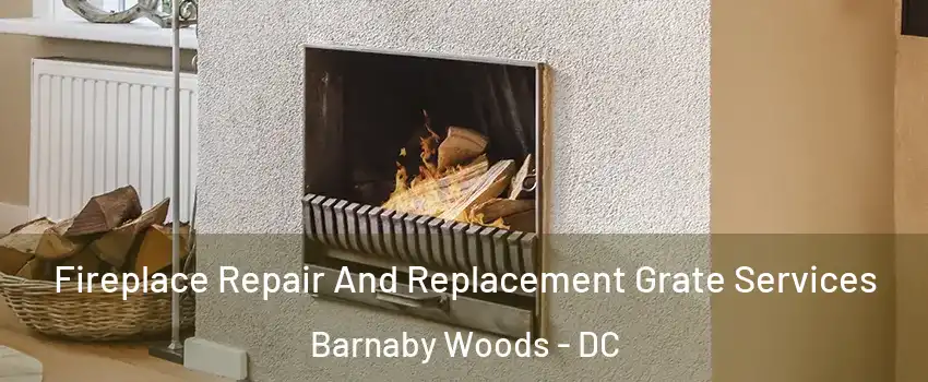 Fireplace Repair And Replacement Grate Services Barnaby Woods - DC