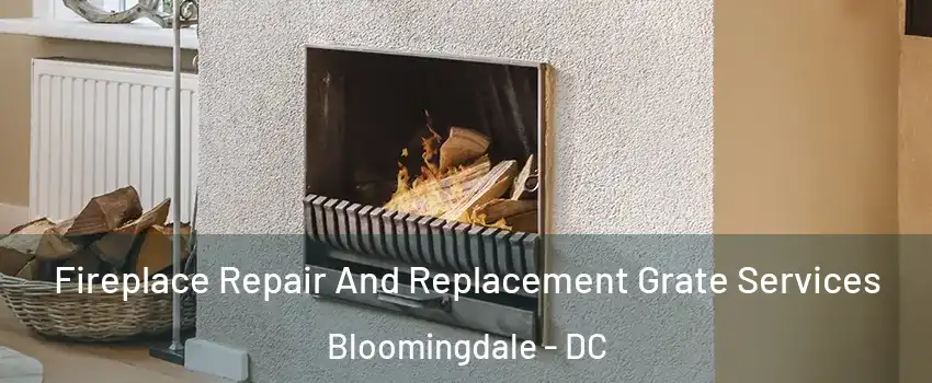 Fireplace Repair And Replacement Grate Services Bloomingdale - DC