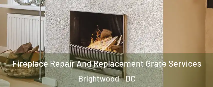 Fireplace Repair And Replacement Grate Services Brightwood - DC