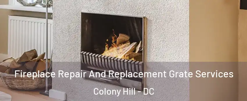 Fireplace Repair And Replacement Grate Services Colony Hill - DC