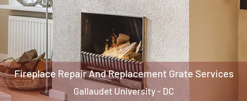 Fireplace Repair And Replacement Grate Services Gallaudet University - DC