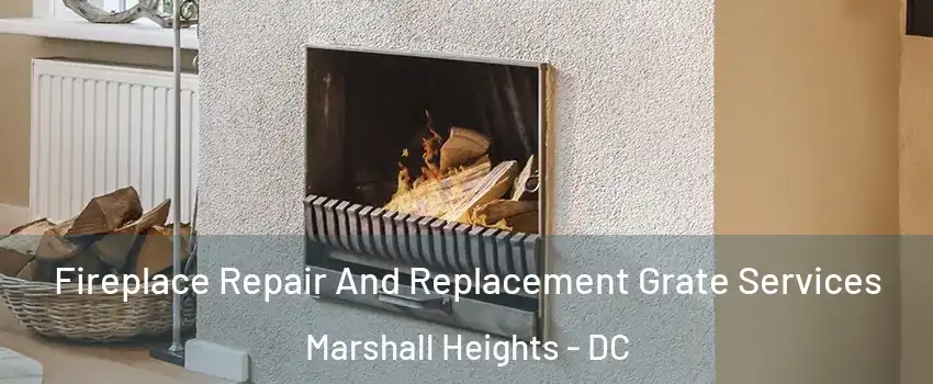 Fireplace Repair And Replacement Grate Services Marshall Heights - DC