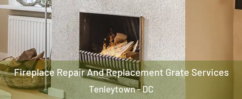 Fireplace Repair And Replacement Grate Services Tenleytown - DC