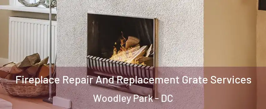 Fireplace Repair And Replacement Grate Services Woodley Park - DC