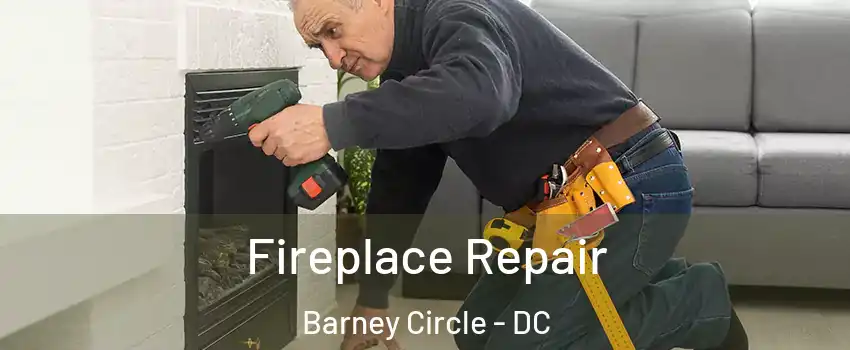 Fireplace Repair Barney Circle - DC